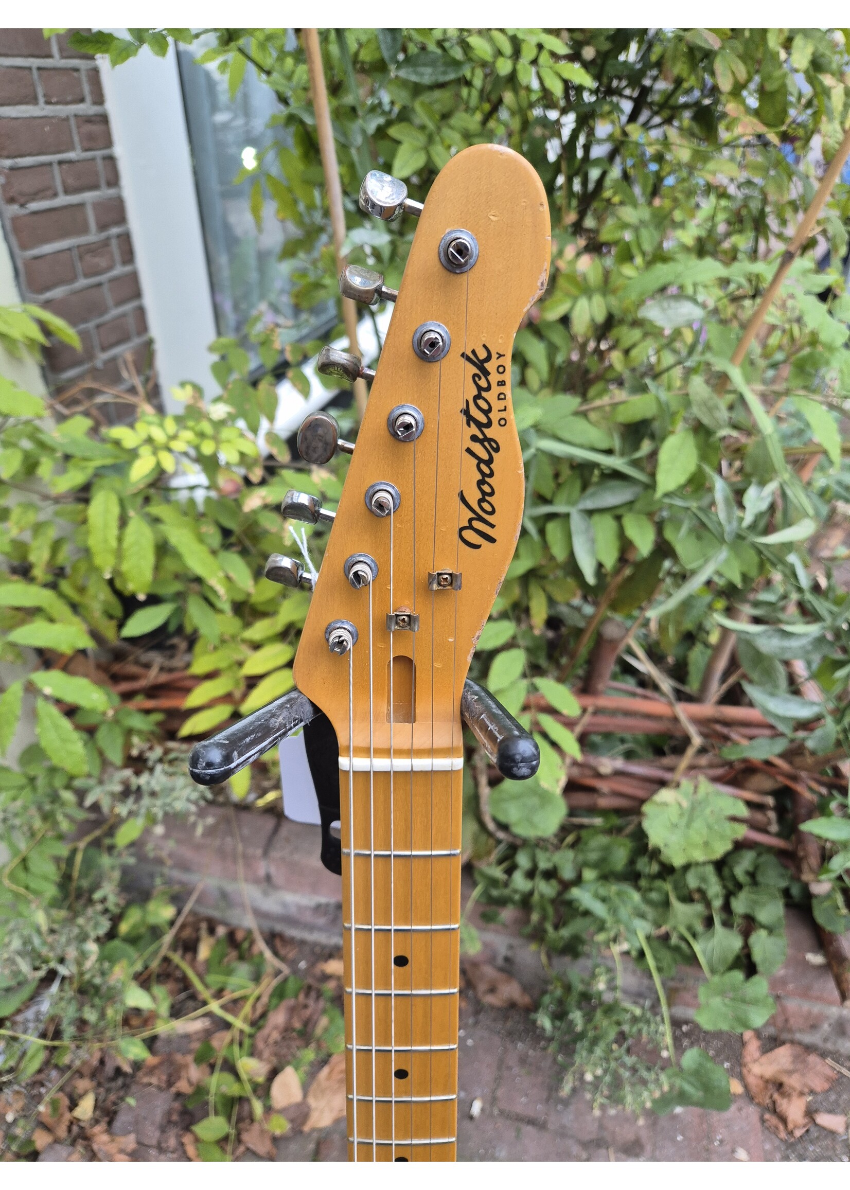 Woodstock Woodstock Old Boy T, Seafoam Green Maple SS