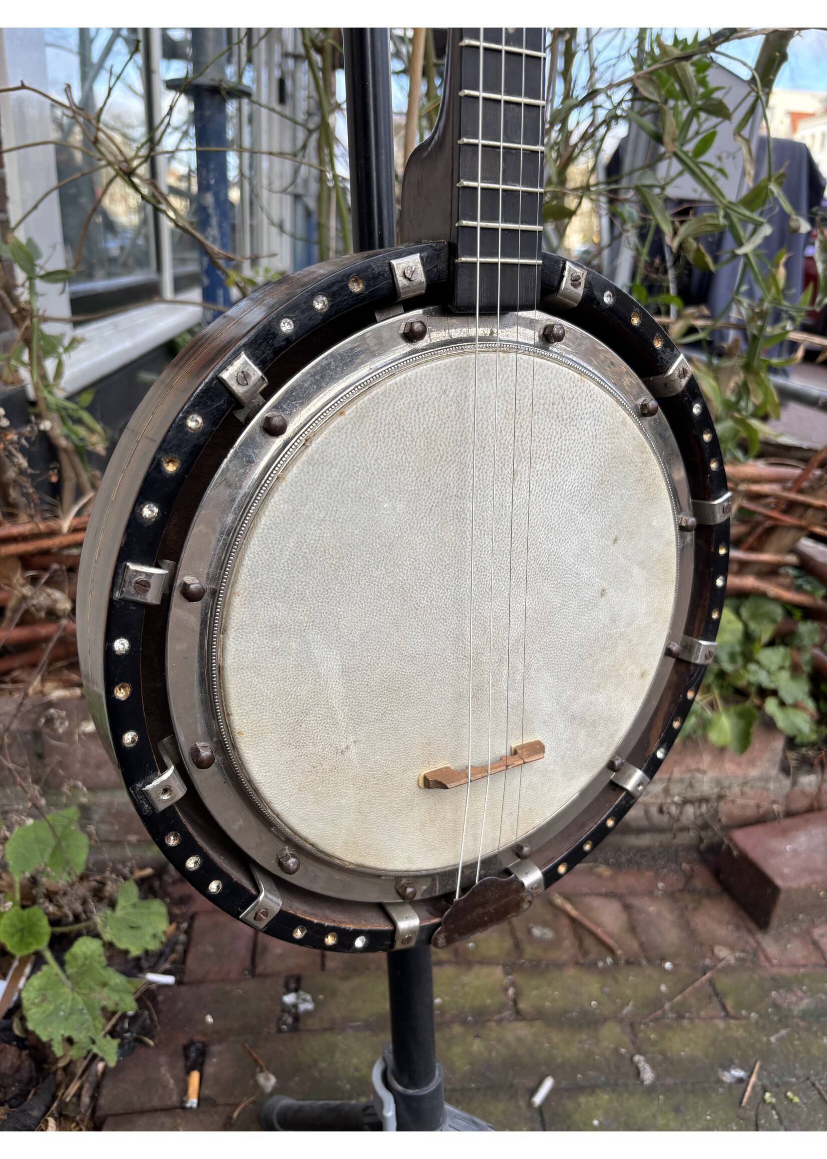 Tenor Banjo +/- 1900
