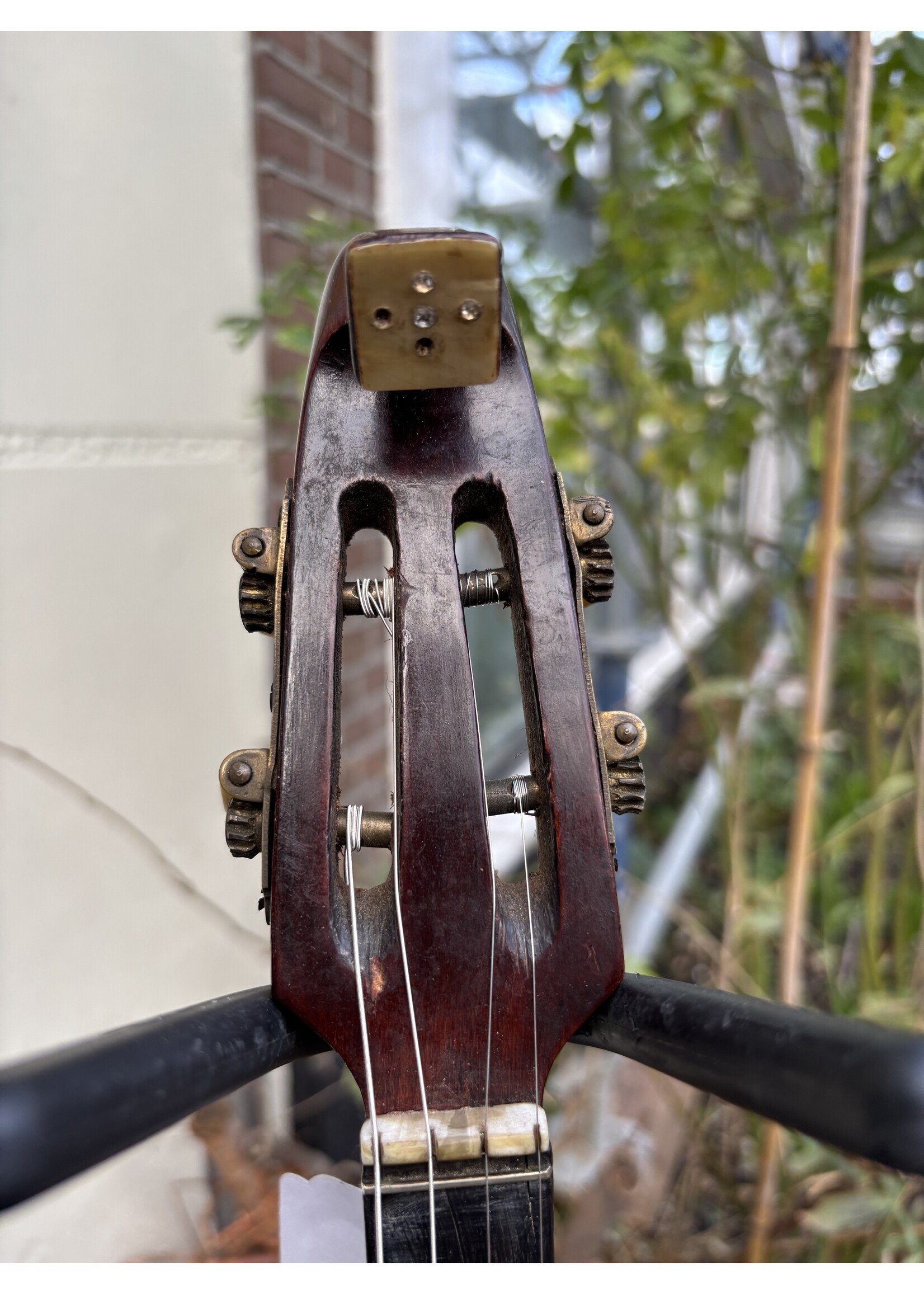Tenor Banjo +/- 1900