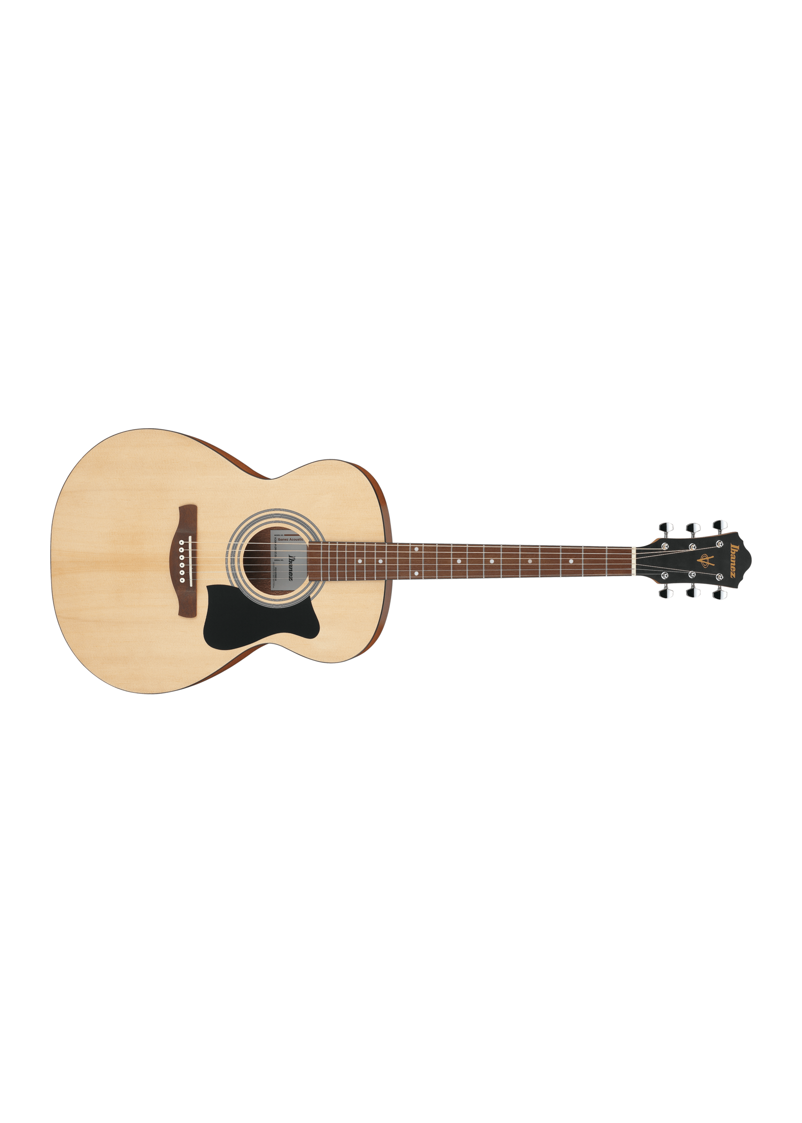 Ibanez Ibanez Jampack Acoustic concert VC50NJPOPN