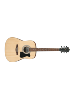 Ibanez Ibanez Jampack Acoustic V50NJPOPN