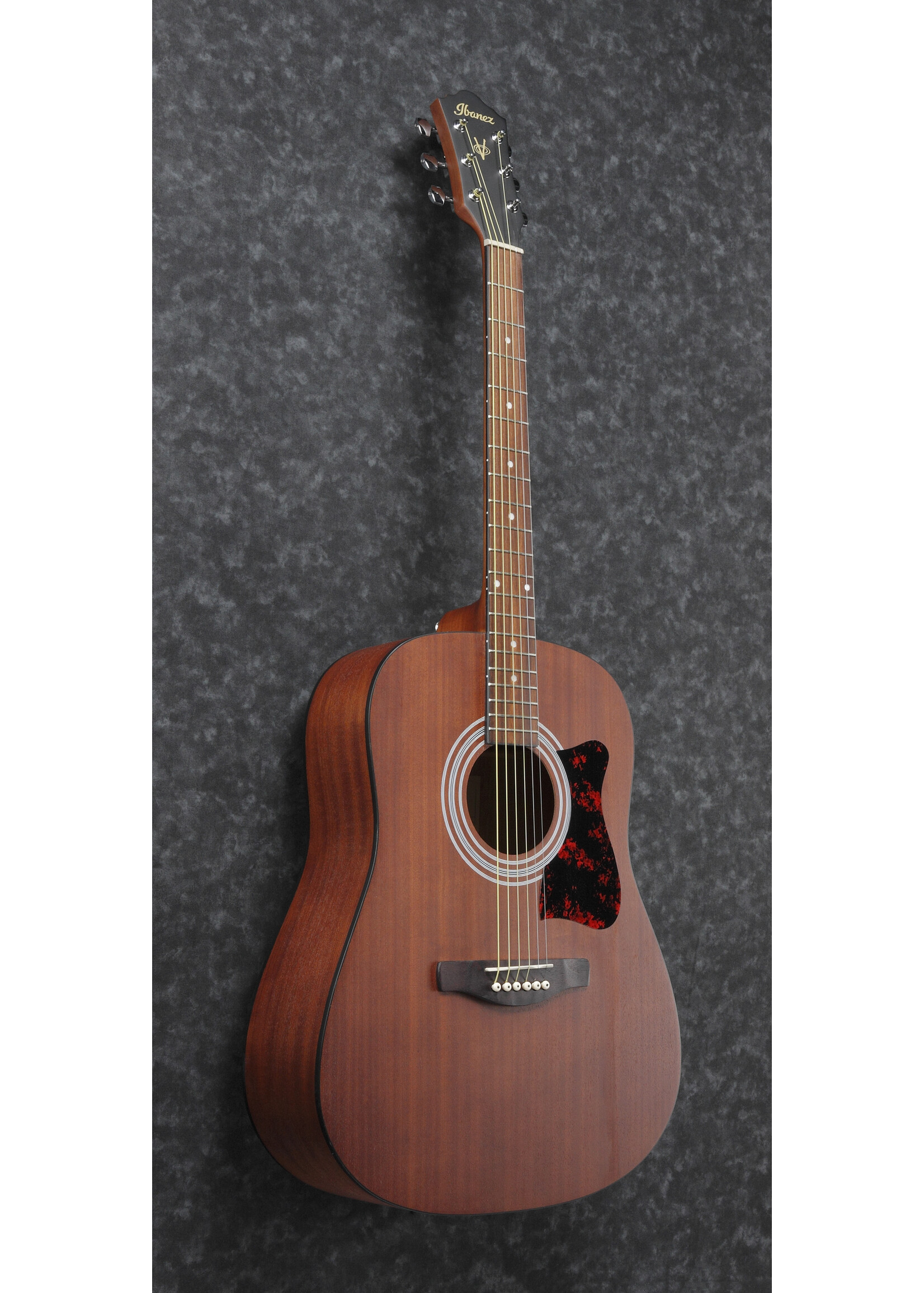 Ibanez Ibanez Jampack Acoustic V54NJPOPN