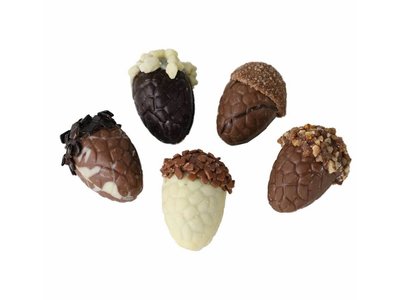 Bonvanie chocolade Gevulde herfstchocolade, diverse soorten