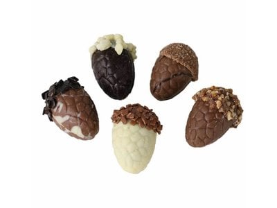 Teddy en Coco chocolade Gevulde herfstchocolade, diverse soorten