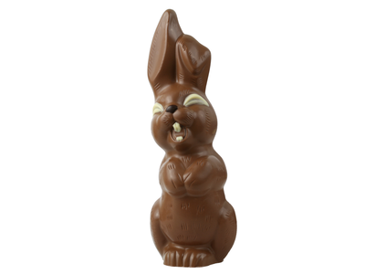 Teddy en Coco chocolade Chocolade paashaas groot