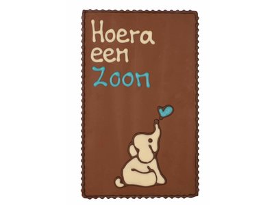 Teddy en Coco chocolade Hoera een zoon - Chocoladeplakkaat