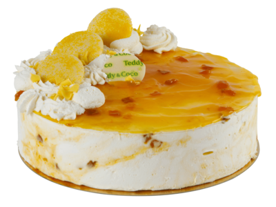 XL Yoghurt Perzik Witte Chocolade IJstaart