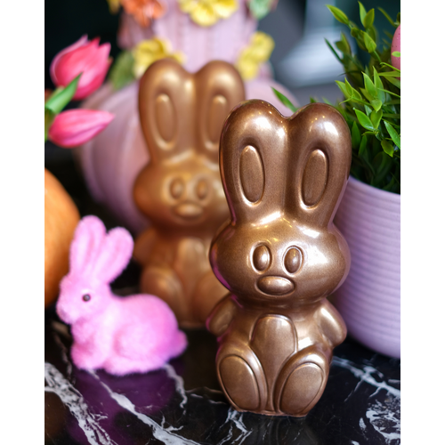 Teddy en Coco chocolade Chocolade paashaas