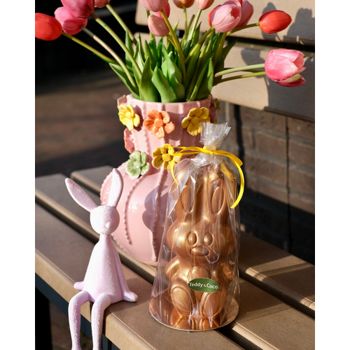 Teddy en Coco chocolade Paashaas van chocolade