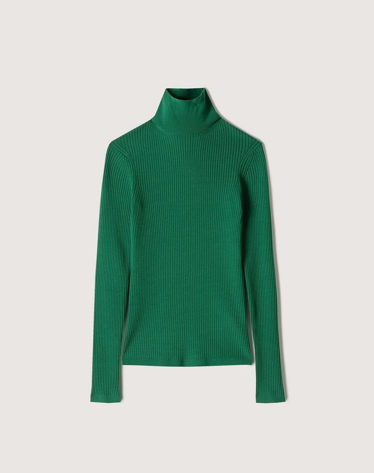 Harri Merino Turtleneck