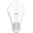 Ampoules colorées transparentes à grande coque Ø60 mm