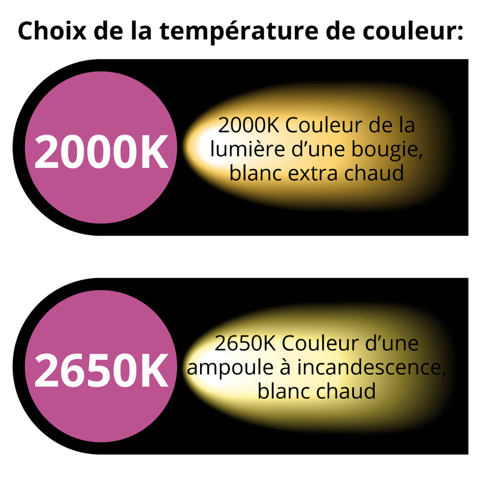 Kit guirlande avec ampoules LED 1-2W enveloppe givrée