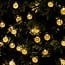 Guirlande lumineuse à piles Rowan, 7 m, 50 ampoules