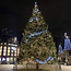 Guirlandes de Noël connectables | blanc chaud | à partir de 10 mètres | 100 LED | caoutchouc