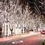 Guirlande de Noël raccordable | blanc froid | dès 10 m, 100 LED | caoutchouc