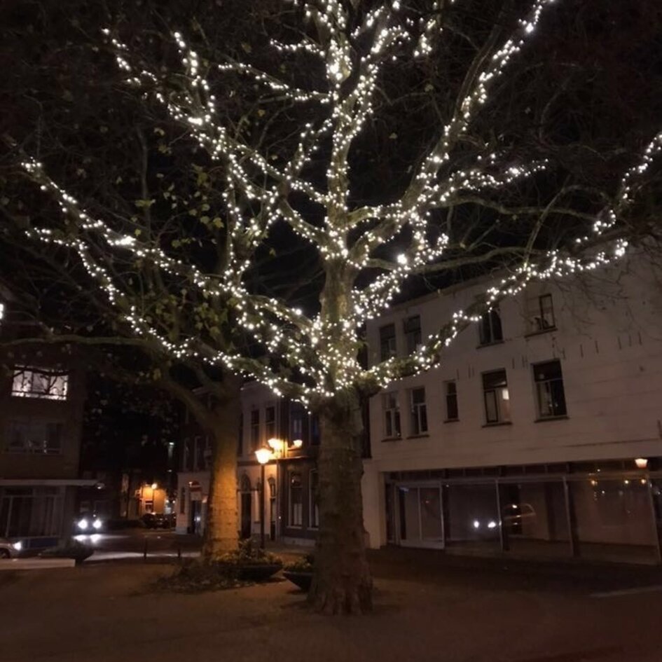 Guirlande de Noël raccordable | blanc froid | dès 10 m, 100 LED | caoutchouc