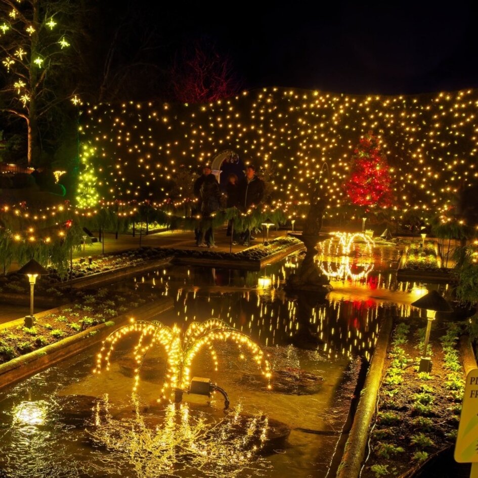 Filet lumineux connectable | à partir de 2 m² | 200 LEDs | blanc chaud | caoutchouc