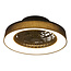 Ventilateur de plafond Mayra avec température de couleur réglable et effet stéréo