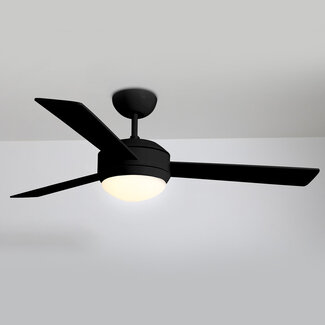 Ventilateur de plafond moderne noir avec télécommande (E27) - Coco