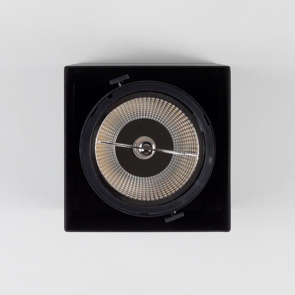 AR111 Downlight 1 lumière Willow - noir