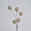 Lampadaire moderne or, 5 lumières - Claire