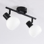 Plafonnier noir Phiene avec 2 spots en verre blanc laiteux orientables