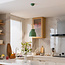 Lampe suspendue rustique Zelena - vert