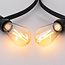 Jeu de câbles épineux avec lampes à incandescence de 2,5W Ø60 : option dimmable
