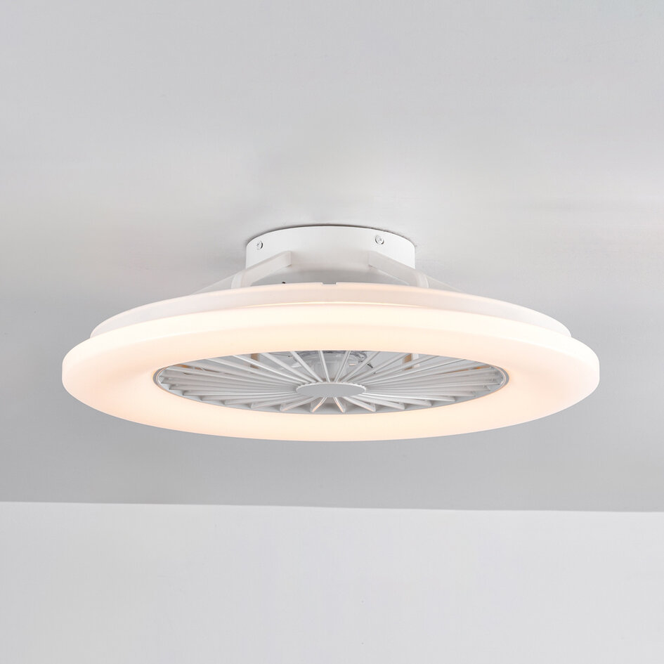 Ventilateur de plafond Cakir LED avec température de couleur réglable
