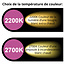 Ampoules LED blanc chaud à double filament, dimmable