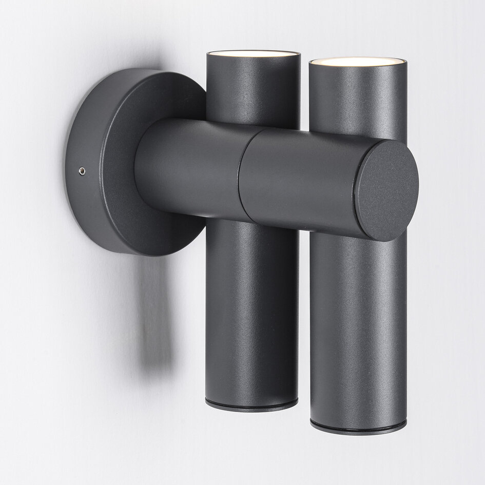 Applique murale extérieure orientable Thekla - anthracite avec LED intégrée
