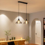 Lampe suspendue industrielle avec verre fumé, 2 lumières - Esper