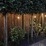 Kit guirlande avec lampe spirale 5W, 1800K, verre ambré, Ø60 - variateur en option