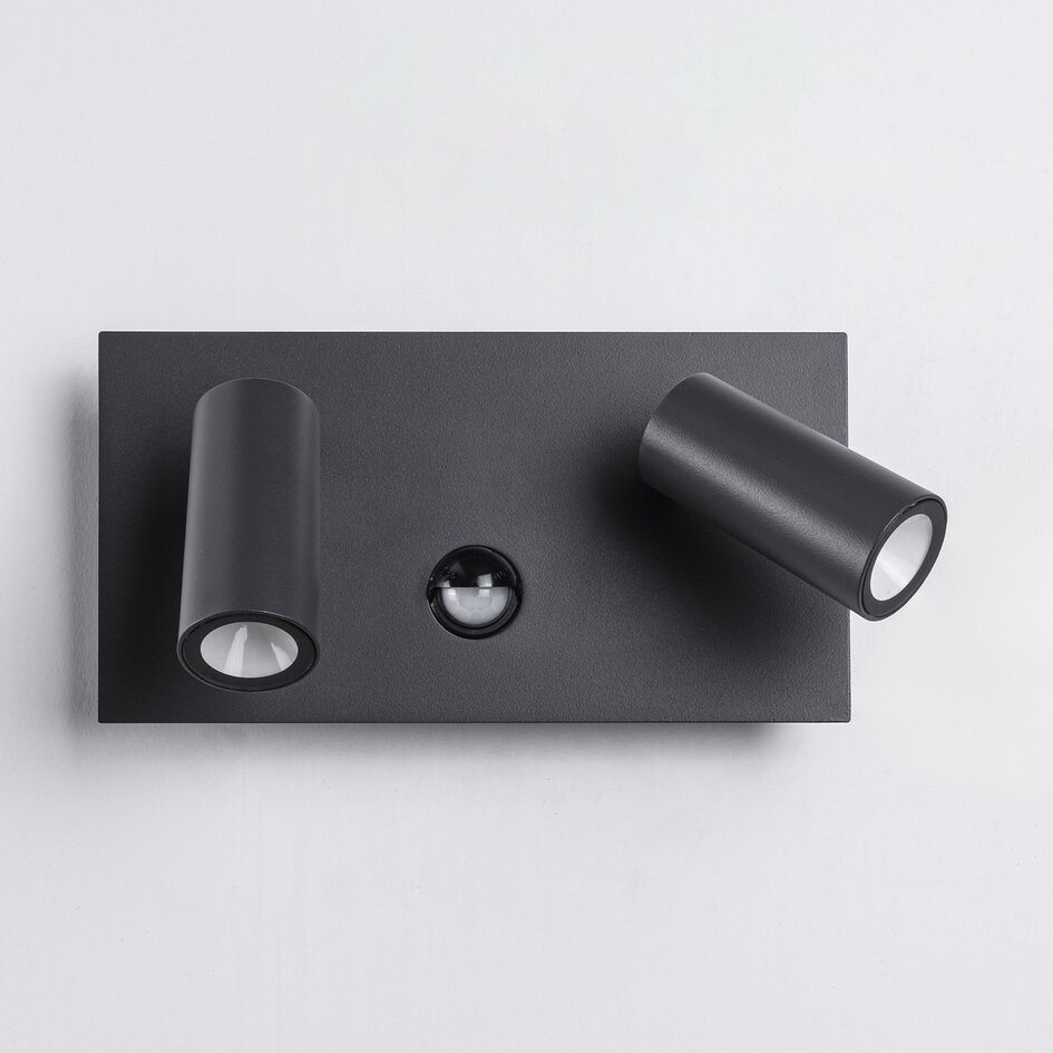 Applique d'extérieur avec spots inclinables Filia - anthracite