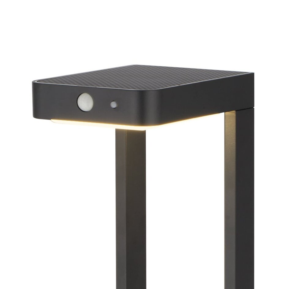 Lampadaire solaire avec capteur - Pelle