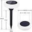 Spot de jardin solaire à piquet RGB Fletcher - lot de 2