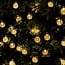 Guirlande lumineuse solaire Rowan, 12 m, 100 ampoules