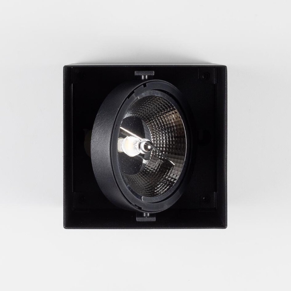 AR111 Downlight 1 lumière Willow - noir