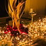 Guirlande lumineuse de Noël | 15 m, 300 ampoules | blanc extra chaud | PVC