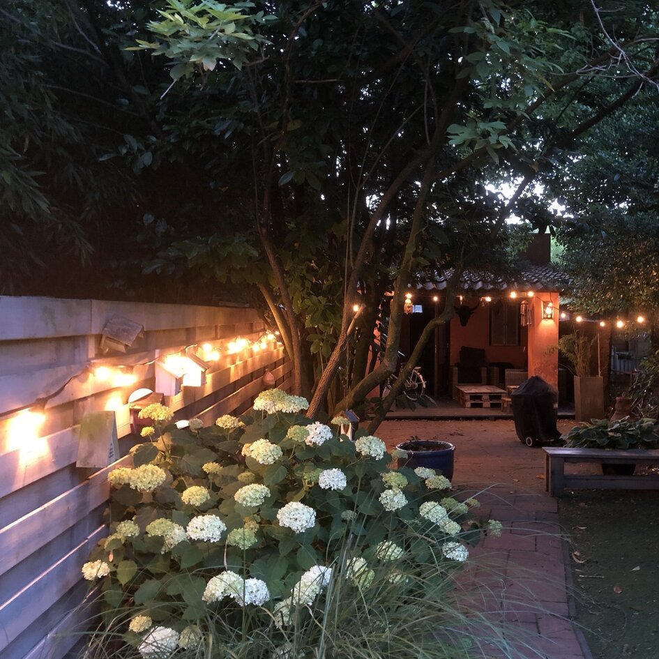 Ampoules LED blanc chaud avec grande enveloppe opaque, Ø60