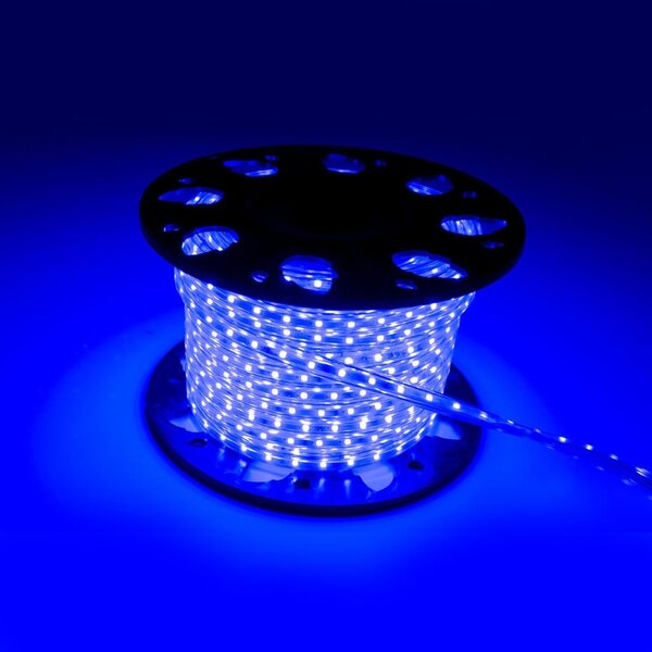 Cordon lumineux LED d'extérieur, bleu