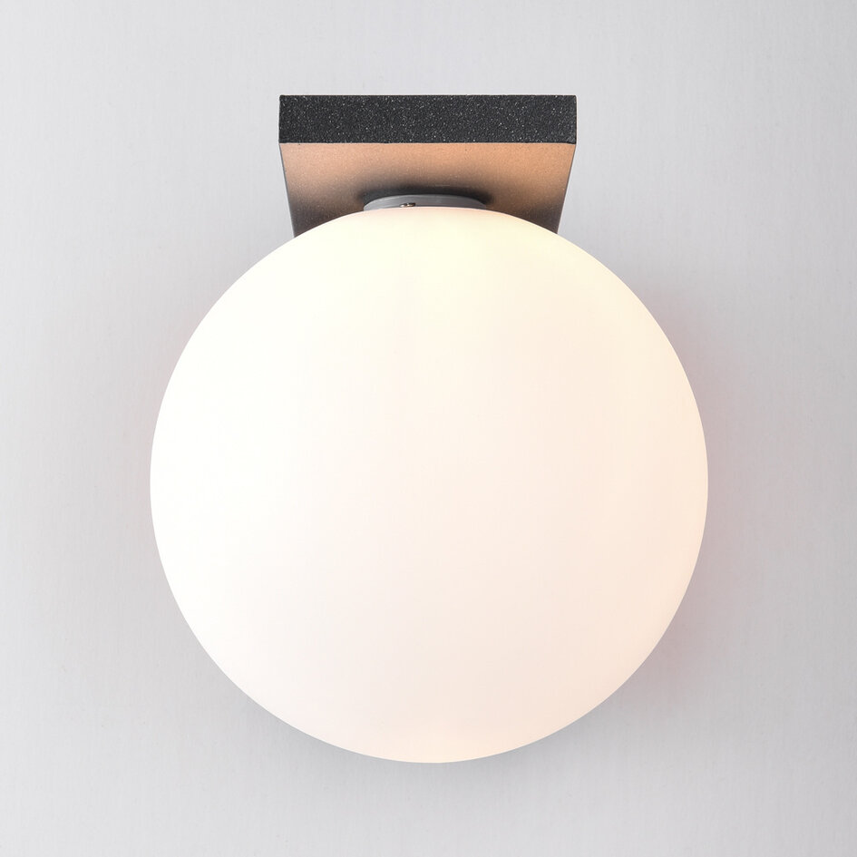 Applique d'extérieur anthracite avec abat-jour en polycarbonate blanc laiteux - Luna