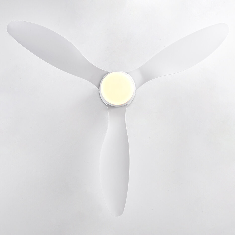 Ventilateur de plafond été/hiver Circo blanc avec température de couleur réglable