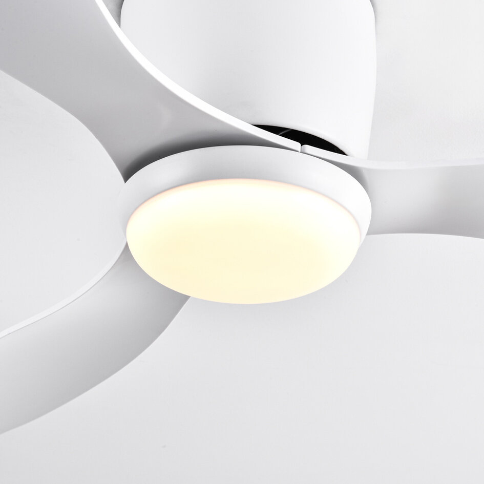 Ventilateur de plafond été/hiver Circo blanc avec température de couleur réglable