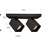 Plafonnier industriel 2 lumières Boy - noir mat