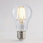 Ampoules LED