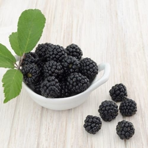 The Flavor Apprentice Boysenberry Flavor (15 ml) The Flavor Apprentice Boysenberry Flavor (15 ml)