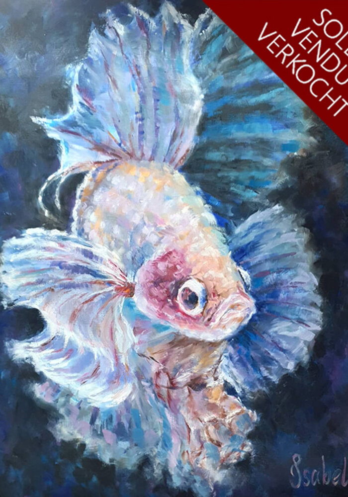 Colorful Affordable Painting Art on Canvas painting Betta fish - ART