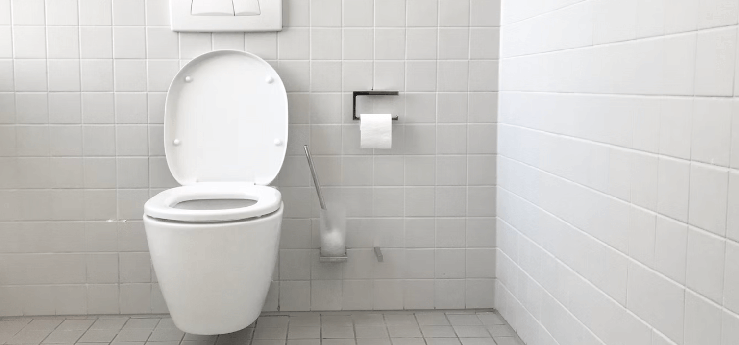 Heerlijk Vleien beneden De aandachtspunten bij het plaatsen van een tweede toilet -  123InstallatieMaterialen