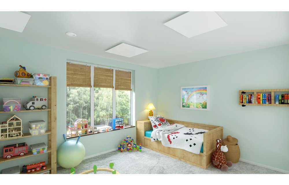 Ecosun GS 850 infrarood paneel glas zwart 120x80cm 850W